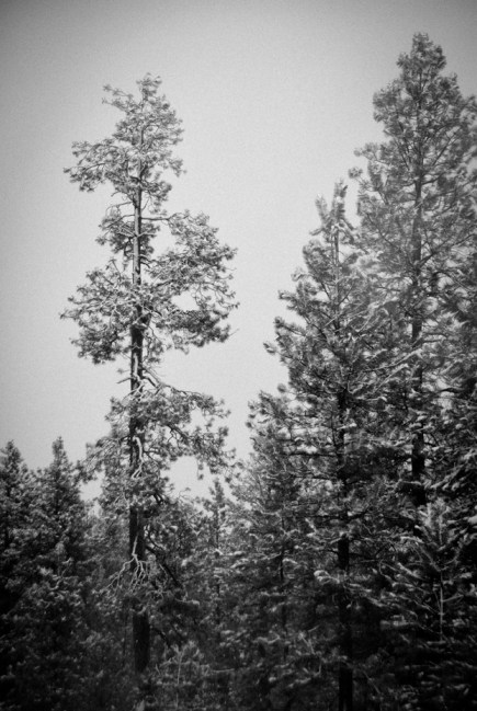 Maralee_Park_Day91_00001