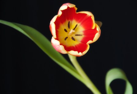 Maralee_Park_Day92_00002