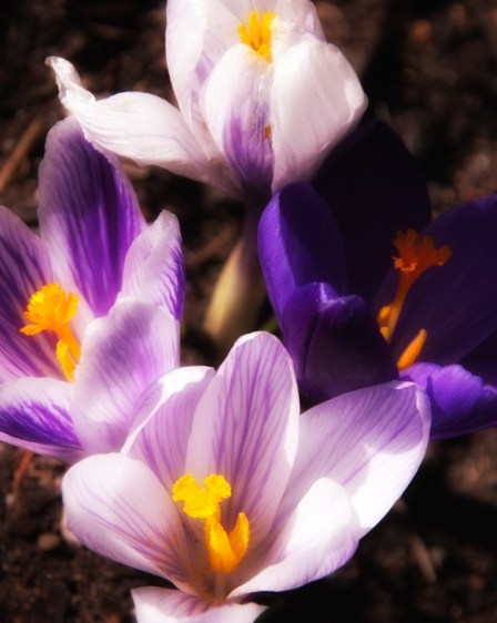 Maralee_Park_Day93_00003