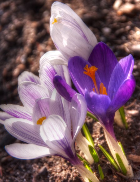 Maralee_Park_Day93_00002