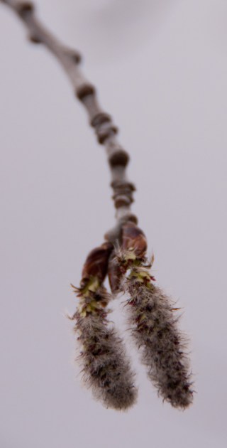 Maralee_Park_Day94_00005