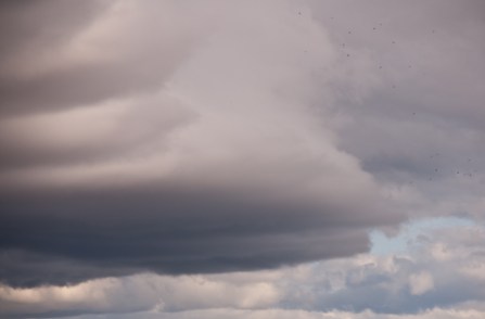 Maralee_Park_Day94_00003