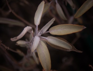 Maralee_Park_Day94_00001