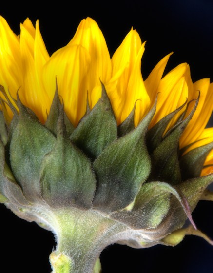 Maralee_Park_Day96_00003