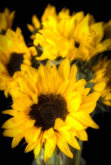 Maralee_Park_Day96_00002