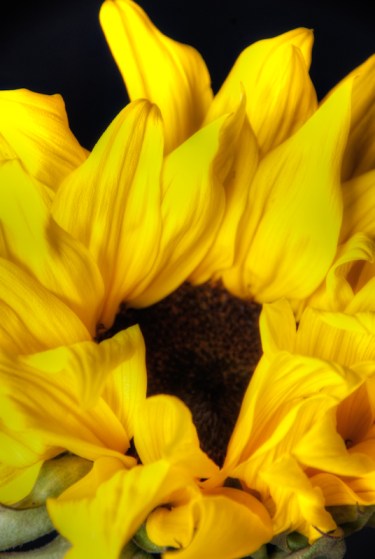 Maralee_Park_Day96_00001