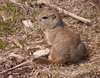 Maralee_Park_Day98_00001