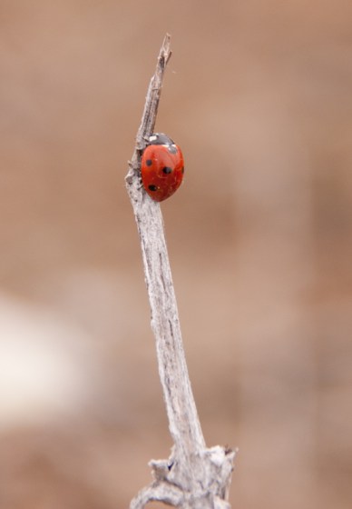 Maralee_Park_Day099_00005