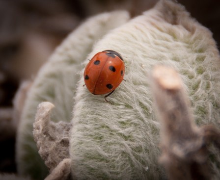 Maralee_Park_Day099_00004