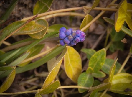 Maralee_Park_Day099_00002