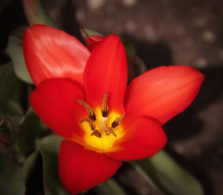 Maralee_Park_Day100_00003