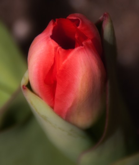 Maralee_Park_Day100_00002