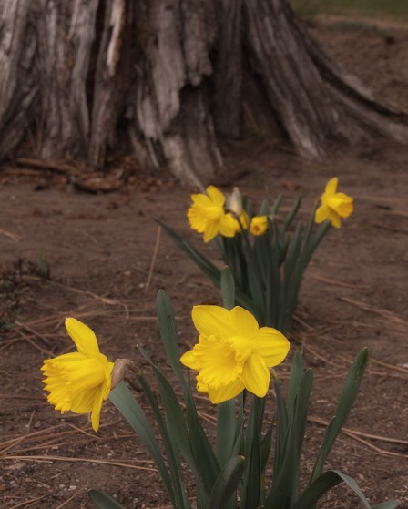 Maralee_Park_Day101_00001