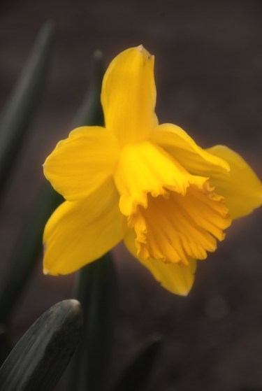 Maralee_Park_Day101_00002