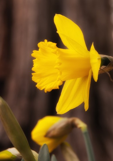 Maralee_Park_Day101_00004