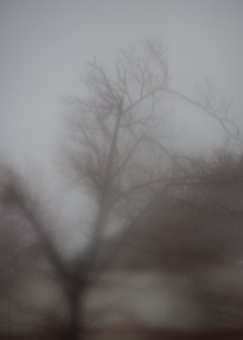 Maralee_Park_Day102_00005