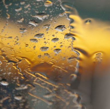 Maralee_Park_Day102_00004