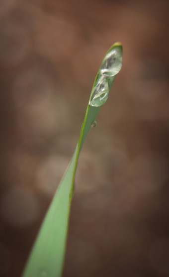 Maralee_Park_Day102_00002