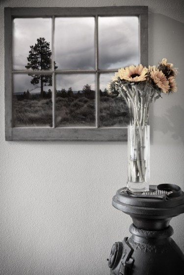 Maralee_Park_Day103_00002