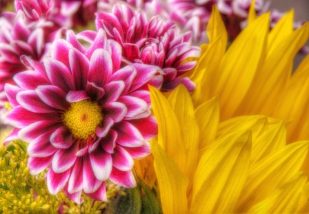 Maralee_Park_Day104_00004