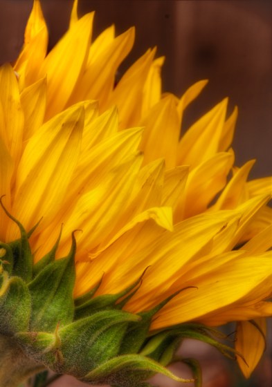 Maralee_Park_Day104_00003