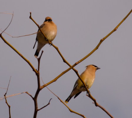 Maralee_Park_Day107_00002