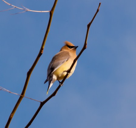 Maralee_Park_Day107_00001