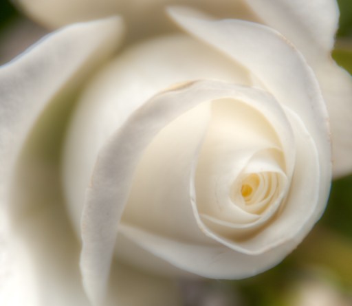 Maralee_Park_Day108_00001