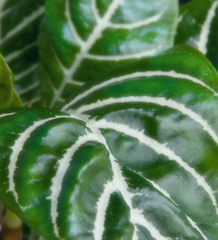 Maralee_Park_Day110_00004