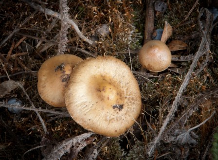 Maralee_Park_Day110_00003