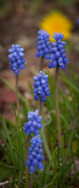 Maralee_Park_Day110_00001