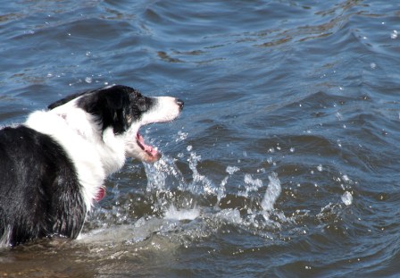 Maralee_Park_Day111_00005