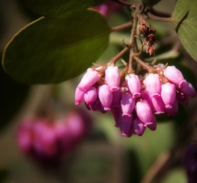 Maralee_Park_Day112_00001