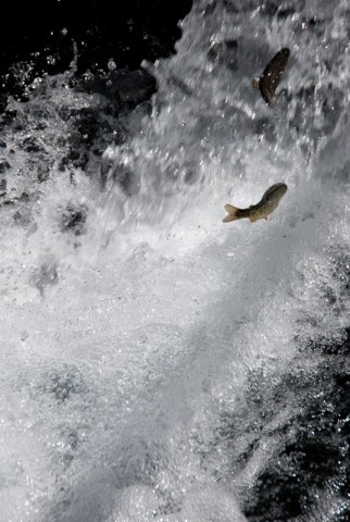 Maralee_Park_Day113_00002