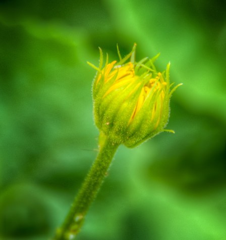 Maralee_Park_Day116_00001