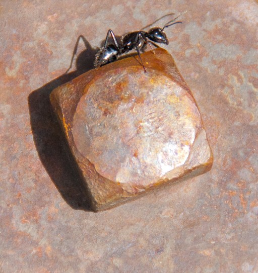 Maralee_Park_Day118_00002