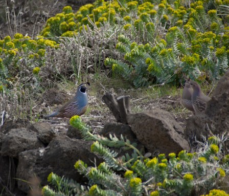 Maralee_Park_Day120_00002