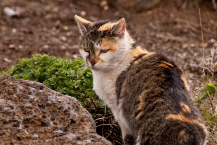 Maralee_Park_Day120_00001