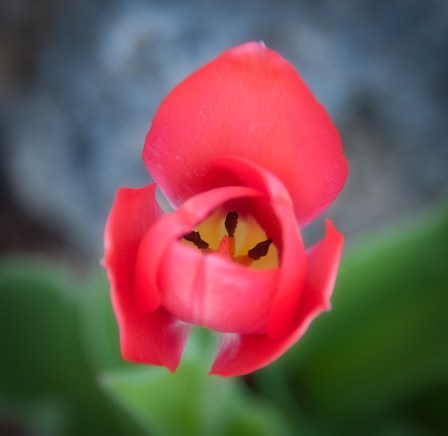 Maralee_Park_Day121_00002