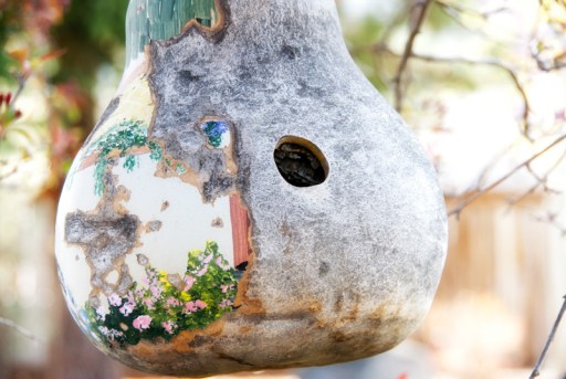 Maralee_Park_Day121_00001