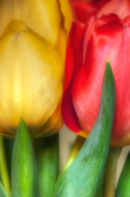 Maralee_Park_Day122_00001