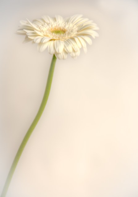 Maralee_Park_Day123_00002