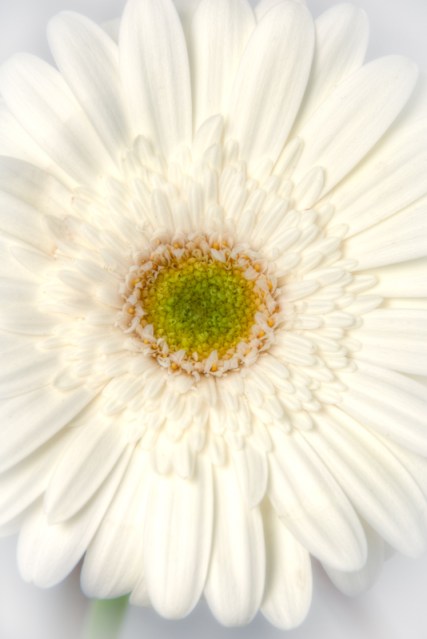 Maralee_Park_Day123_00001