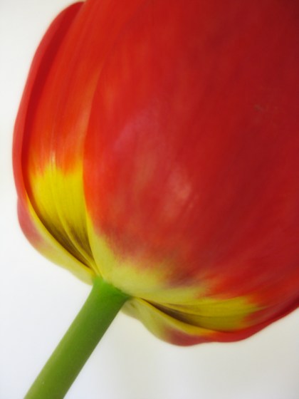 Maralee_Park_Day124_00001