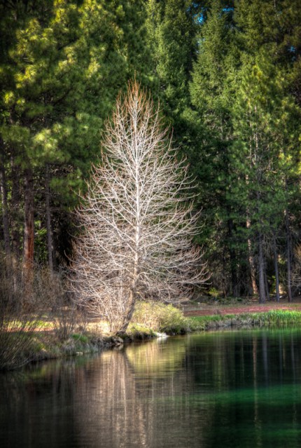 Maralee_Park_Day125_00001