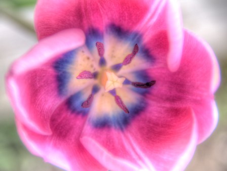 Maralee_Park_Day128_00001 Maralee_Park_Day128_00001