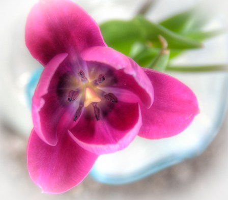 Maralee_Park_Day128_00002 Maralee_Park_Day128_00002