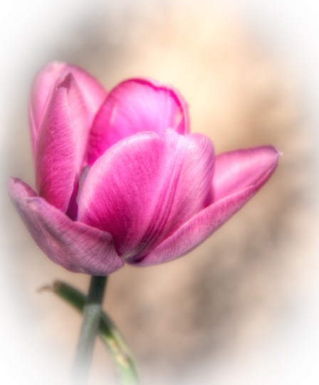 Maralee_Park_Day128_00003 Maralee_Park_Day128_00003