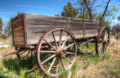 Maralee_Park_Day132_00001