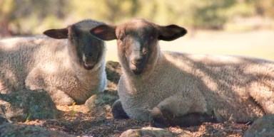 Maralee_Park_Day132_00002